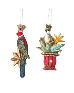 Gisela Graham Resin Parrot On Star/Pot Decoration (Set of 2)